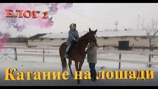 Катание на лошади