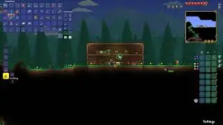 RARE ENEMY OF THE STATE NPC IN TERRARIA
