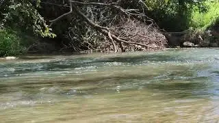 Flowing Stream