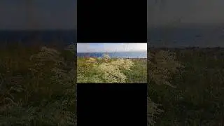 Краски севера...