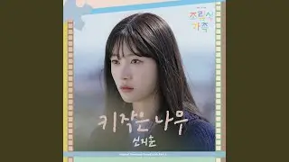 Little Tree (키 작은 나무)