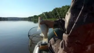 Ring fishing. Don River. Fishing report, June 19.