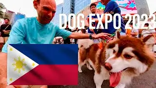 Dog Expo in BGC 2023 | Who Let The Dogs Out??