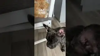 Жизнь заиграла красками 
