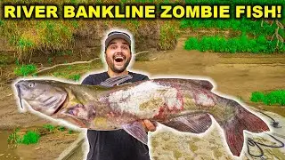 BANKLINE Zombie Catfishing the RIVER!!! (Catch Clean Cook)