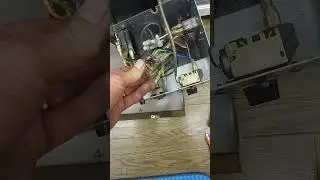 Our Freezer Died