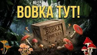 Урааа ! Вовка приехал