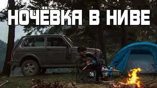 Ночёвка в ниве
