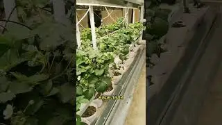 Как выглядит начало волны