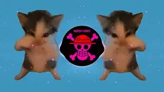 DJ KICAU KICAU KICAU MANIA SLOW VIRAL TIKTOK FULL SONG MAMAN FVNDY 2026 