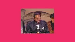 🍾 Marvin & Chardonnay 🍷 ( slowed + reverb )