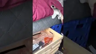 Chevy Express -part time almost camper; full time ‘mobile man-cave’