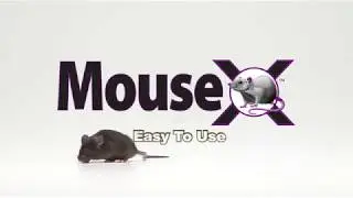 MouseX Bait Pellets