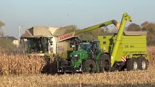 Mais dreschen im Bodewinkel Hadmersleben mit Claas Lexion