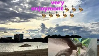 my duck very pond enjoyment 🦆🦆🦆🦆🦆🦆🦆🦆🦆🦆🦆