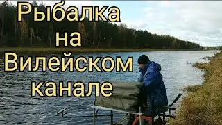 Фидерная рыбалка на Вилейки. Рыбалка на Вилейском канале, междусобойчик на фидер.Рыбалка в Беларуси.