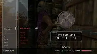 Skyrim: How to Get into Riften Without Paying