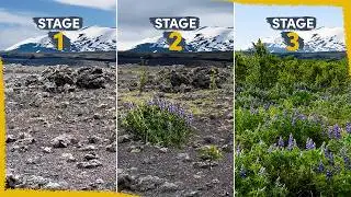 We're reclaiming Iceland's Deserts - here's how