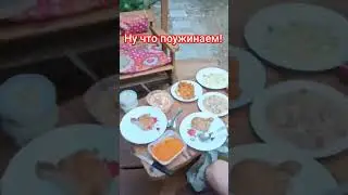 Ужин в лесу 