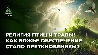 Религия Птиц и Травы! Как Божье обеспечение стало предкновением?
