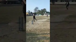 Eliver bat review | Eliver panthom |  huge sixes