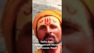 Colorful Sadhus#sadhu#sadhubaba#pashupatinath#kathmandu#nepal#omnamahshivaya#shiv#shiva#mahadev