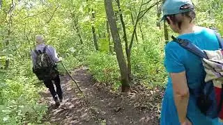 в лесу 21 авг