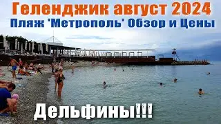 Геленджик август 2024 Пляж 'Метрополь' Обзор и Цены / Много дельфинов