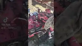 Пизда Бобику часть 2