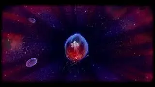 Sayri - Character story