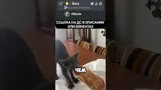 ШУТКИ №9 #рекомендации #игры #дота #дискорд #дискордсервер #геншинимпакт #аниме #игры #гта #ксго #дс