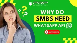 Why do SMBs need WhatsApp API #youtubevideo #whatsappapi #smbs #viralvideo