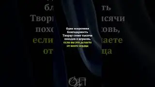 Ну это же правда #shorts