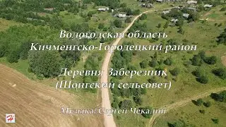 Деревня Заберезник (Шонгский сельсовет, Кичменгско-Городецкий район)
