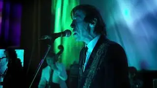 The Sadies  