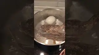 Впервые готовлю Это 👀. Мой улов, морская рыбалка в марте🎣