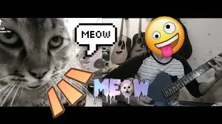 Cat Fight (Metal Guitar Version)