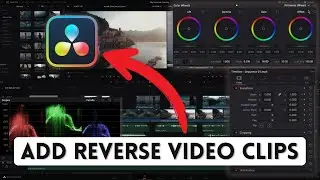 How to Add Reverse Video Clips in DaVinci Resolve 2025?
