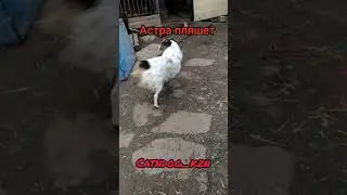 1 апреля 2021 г.