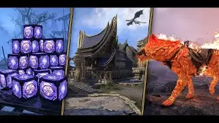 TESO | БИЛЕТЫ И РАНДОМЫ