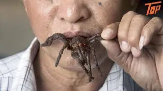 7 อันดับสัตว์ที่สุดเหลือเชื่อที่นำมาปรุงอาหารได้