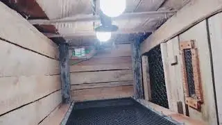 Finalizando Pinteiru ou viveiro capacidade 100 a 200 pintinhos Piruzinho ou saquezinho 50 a 80