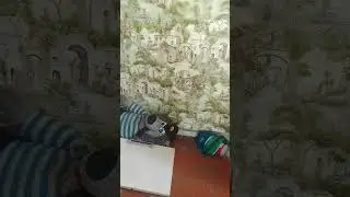 я запрещаю выходить певица слава на мой youtube канал она там как дурочка