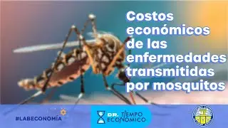 Costos de las enfermedades transmitidas por mosquitos #Dengue #Economía