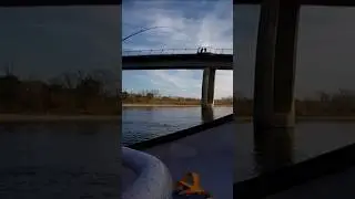 Monsta Takedown American River 