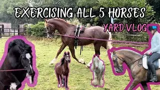 EXERCISING ALL 5 HORSES WITH US | YARD VLOG
