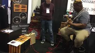 Amazing demo of Ashen Amps 