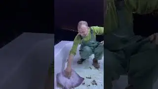 Cute  🦈❤️🦈👍❤️#fishing