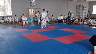Чернявськкий Олександр   ката, фінал
