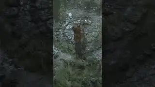 This woman really F***** up!